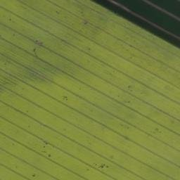 Satellite imagery of Linsenberg, DE