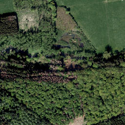 Satellite imagery of Sellerkopf, DE