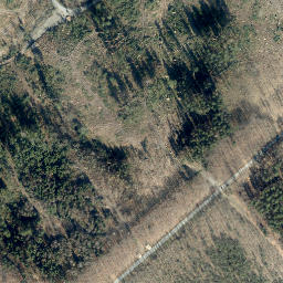 Satellite imagery of Spreenberg, DE