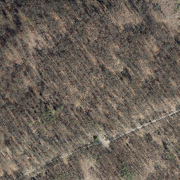 Satellite imagery of Teichmühlberg, DE