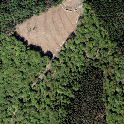 Satellite imagery of Sellerkopf, DE