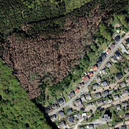 Satellite imagery of Sellerkopf, DE
