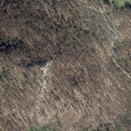 Satellite imagery of Bettel, DE