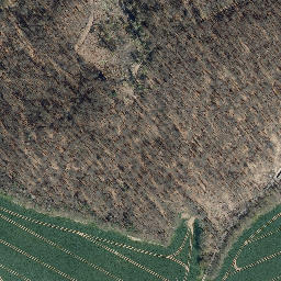 Satellite imagery of Kahlenberg, DE