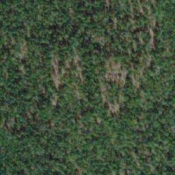 Satellite imagery of Queen Bess Ridge, CA