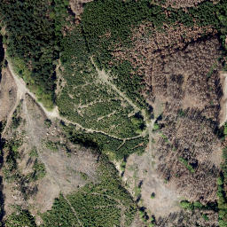 Satellite imagery of Ochsenrücken, DE