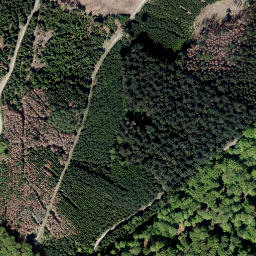 Satellite imagery of Ochsenrücken, DE