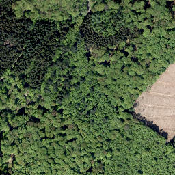 Satellite imagery of Ochsenrücken, DE