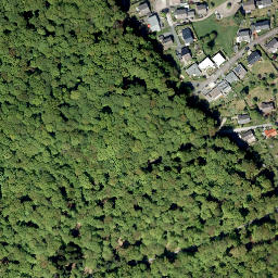 Satellite imagery of Sellerkopf, DE
