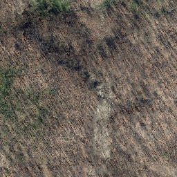 Satellite imagery of Bettel, DE