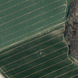 Satellite imagery of Kahlenberg, DE