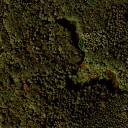 Satellite imagery of 209, NL