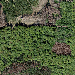 Satellite imagery of Ochsenrücken, DE