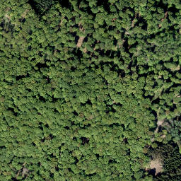 Satellite imagery of Ochsenrücken, DE