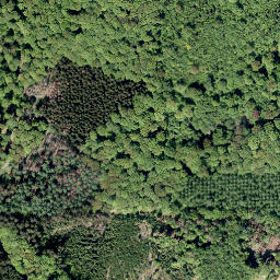 Satellite imagery of Ochsenrücken, DE