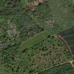 Satellite imagery of Großer Buchberg, DE