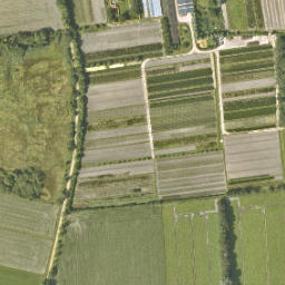 Satellite imagery of 239, NL