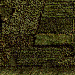 Satellite imagery of 209b, NL
