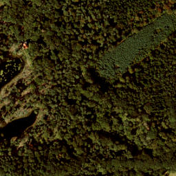 Satellite imagery of 209a, NL