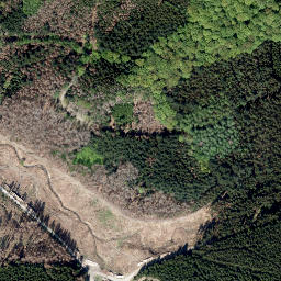 Satellite imagery of Ochsenrücken, DE