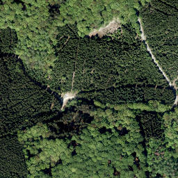 Satellite imagery of Ochsenrücken, DE