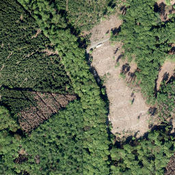 Satellite imagery of Ochsenrücken, DE