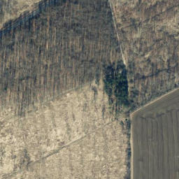 Satellite imagery of Hoher Hagen, DE