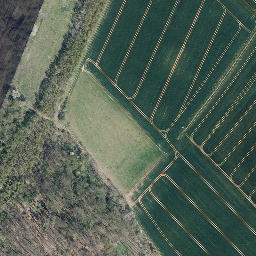 Satellite imagery of boundary_stone, DE