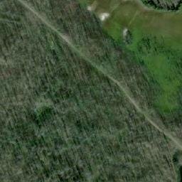 Satellite imagery of Mount Rosemary, CA