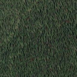 Satellite imagery of Yoho Pass, CA