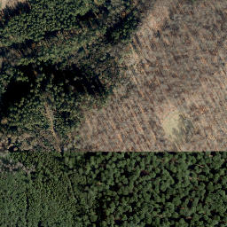 Satellite imagery of Schweinskopf, DE