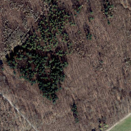 Satellite imagery of Schalkskopf, DE