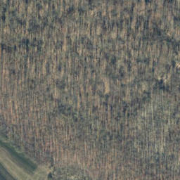Satellite imagery of Endelskamp, DE