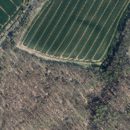 Satellite imagery of boundary_stone, DE