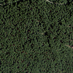 Satellite imagery of Schweinskopf, DE