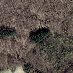 Satellite imagery of Schalkskopf, DE