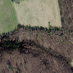 Satellite imagery of Schalkskopf, DE