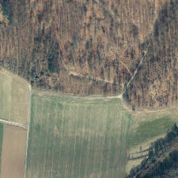 Satellite imagery of Hengelsberg, DE