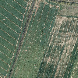 Satellite imagery of Hohe Rott, DE