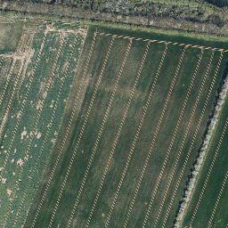 Satellite imagery of Hohe Rott, DE