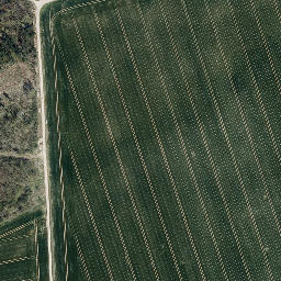 Satellite imagery of Bornberg, DE