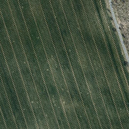 Satellite imagery of Bornberg, DE