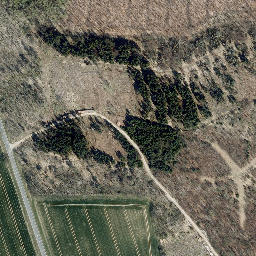 Satellite imagery of Bornberg, DE