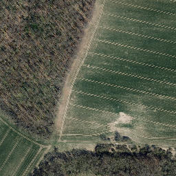 Satellite imagery of Birkenberg, DE