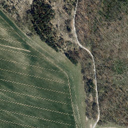 Satellite imagery of Birkenberg, DE