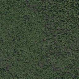 Satellite imagery of Kiwetinok Ridge, CA