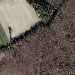 Satellite imagery of Schalkskopf, DE