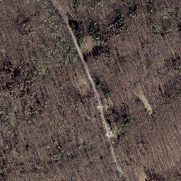 Satellite imagery of Schalkskopf, DE