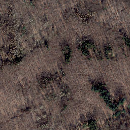 Satellite imagery of Schalkskopf, DE