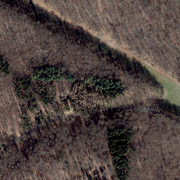 Satellite imagery of Königsberg, DE